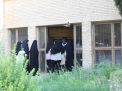 گزارش تصویری اولین روز آزمون کارشناسی